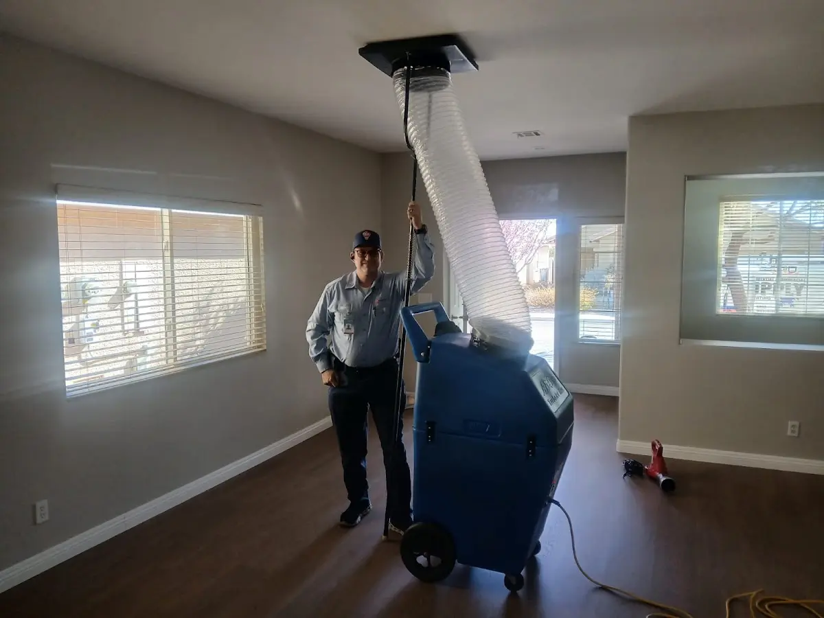 Professional Dryer Vent Cleaning work inside a Ward home